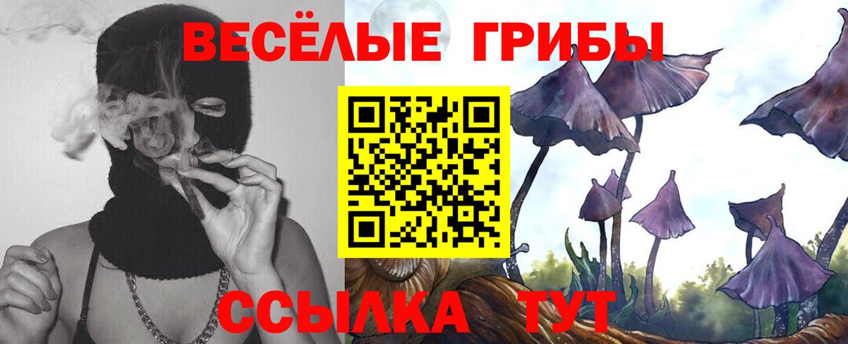 Псилоцибиновые грибы мицелий Славгород