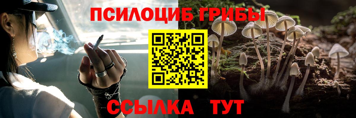 Псилоцибиновые грибы Magic Shrooms  Галлюциногенные грибы Psilocybe  Вход с VPN  Славгород 